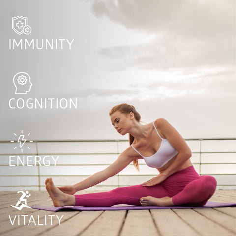 Methylated Multivitamin