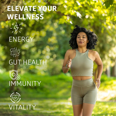 Immune Support Elderberry+
