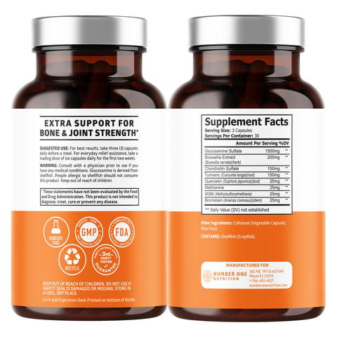 Glucosamine Chondroitin + MSM