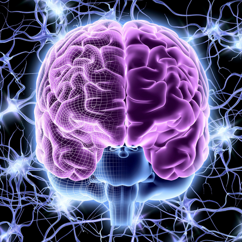 Invest in Your Mind