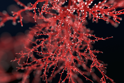 The Healing Potential of BPC-157