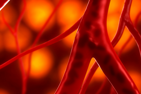 The Promise of TB4: A Revolutionary Approach to Healing and Tissue Repair