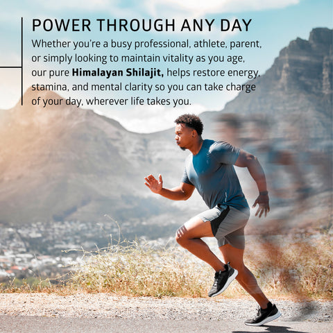 Pure Himalayan Shilajit