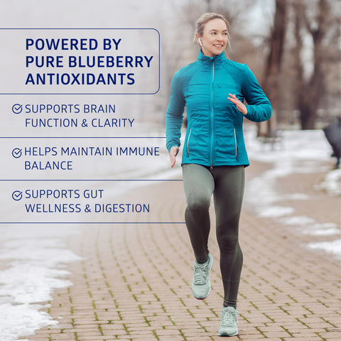 Organic Wild Blueberry