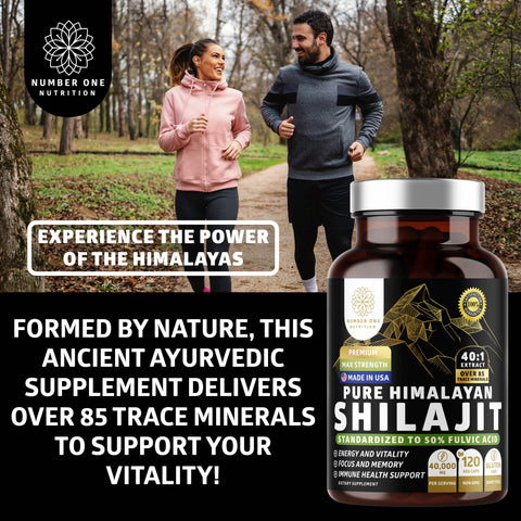 Pure Himalayan Shilajit