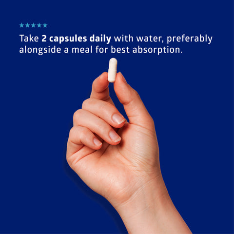 Organic Wild Blueberry