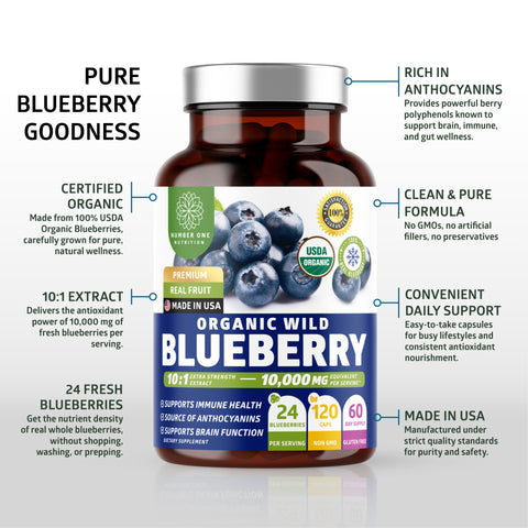 Organic Wild Blueberry